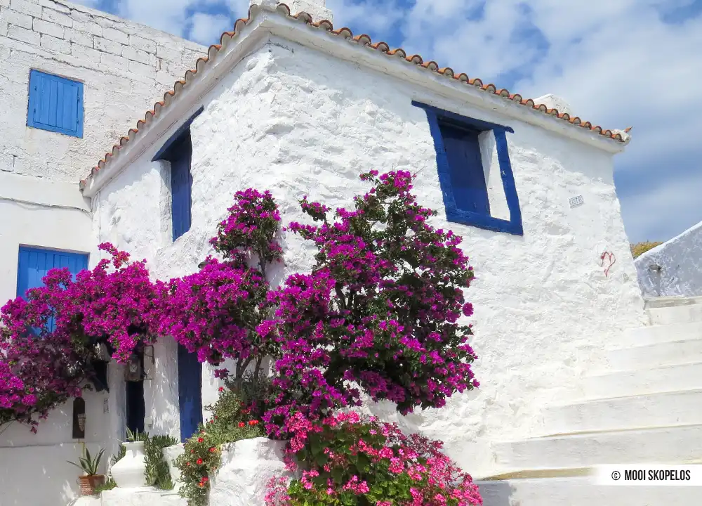 Huis in Skopelos-stad